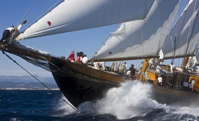 CREOLE in action. 1927 GOELETTE MARCONI CAMPER & NICHOLSON - Les Voiles de St. Tropez 2008 ©  Rolex / Carlo Borlenghi http://www.carloborlenghi.net